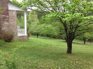 Lovely yard