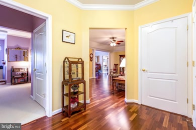 7305 Brookview Rd unit 302, Elkridge, MD 21075 - photo 6