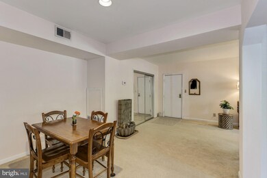203 Skyhill Rd unit 3, Alexandria, VA 22314 - photo 7