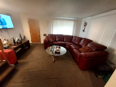 9834 S Oglesby Ave, Chicago, IL 60617 - photo 5