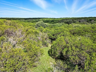 9100 W Bluestem Ct, Cleburne, TX 76033 - photo 4