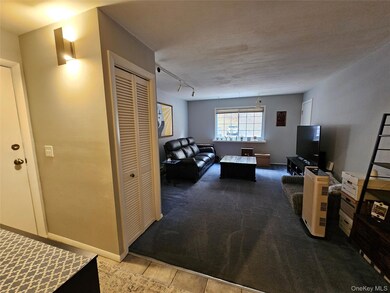 219 Fox Run Ln unit 2C, Carmel, NY 10512 - photo 7