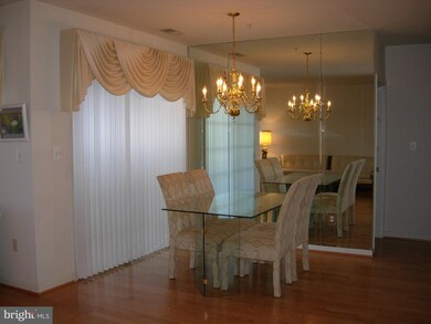 5002 Willow Branch Way unit 103, Owings Mills, MD 21117 - photo 5