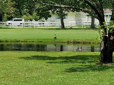 IMG_9965