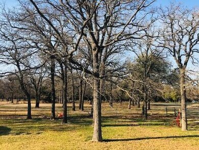 1102 J e Woody Rd, Springtown, TX 76082 - photo 5