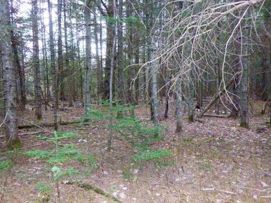 00 Deer Path, Carroll, NH 03595 - photo 5