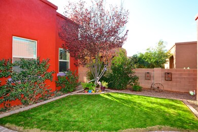 Backyard Grass Area