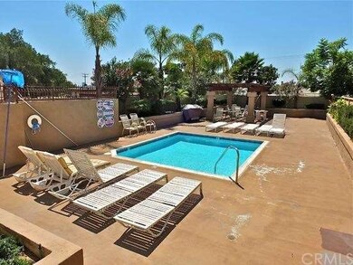 Pool and BBQ area