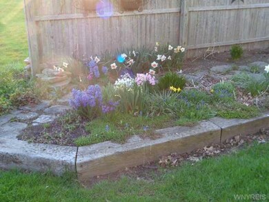 Garden side yard gardens