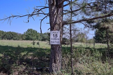 142 Riversong Rd unit 56, Carrollton, GA 30117 - photo 7