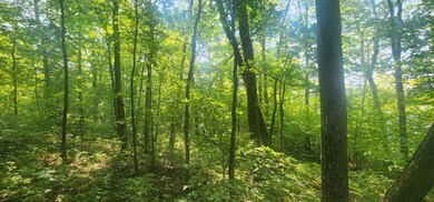 TBD Catherine Ln, White Earth Township, MN 56589 - photo 6