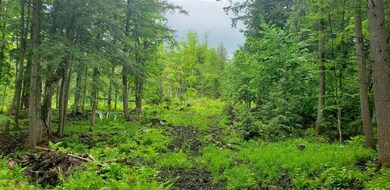 00 Dexter Mountain Rd, Glover, VT 05839 - photo 5