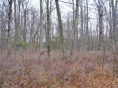 Lot 7 Woodlyn Acres Rd, Berlin Township, PA 18428 - photo 4