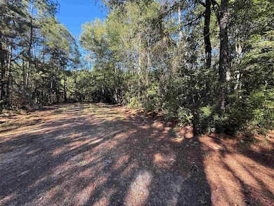 000 Eastwood Dr, Thicket, TX 77374 - photo 4