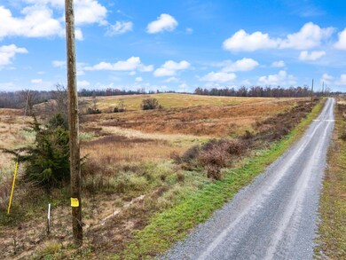 133 Tulip Poplar - Lot 5 Ln, Flemingsburg, KY 41041 - photo 4