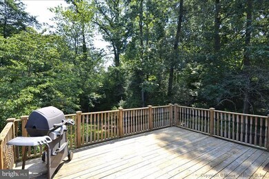 7115 Park Terrace Dr, Alexandria, VA 22307 - photo 2