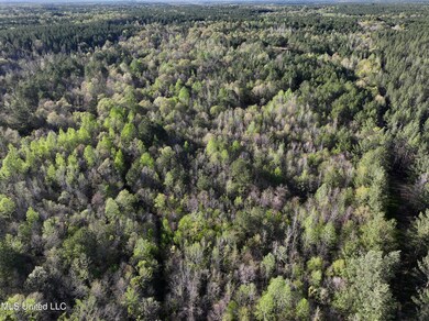 dji_fly_20240405_180732_0012_17125896813
