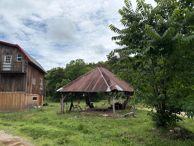 421 N Emory Creek Rd, Walnut Shade, MO 65771 - photo 3