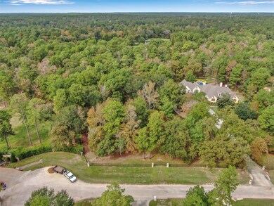 38242 Windy Ridge, Magnolia, TX 77355 - photo 6