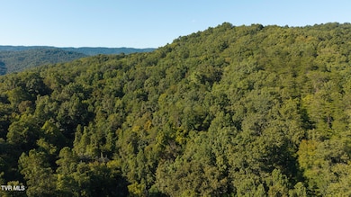 32.38 Ac Panther Creek Rd, Sneedville, TN 37869 - photo 4