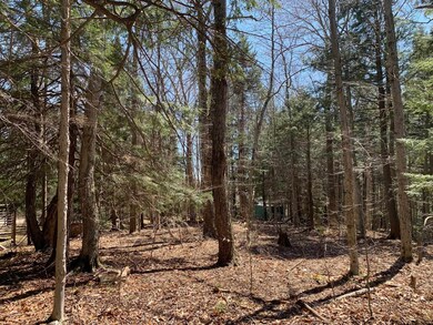 2 Brook Ln unit 37, Wilmington, VT 05363 - photo 6