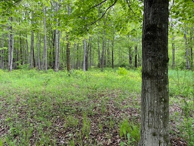 side yard