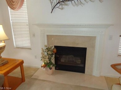 Gas Fireplace