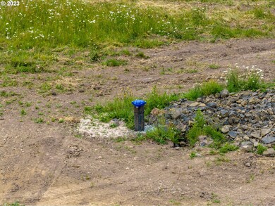 0 Laussier Rd unit L1 23260739, Toledo, WA 98591 - photo 5