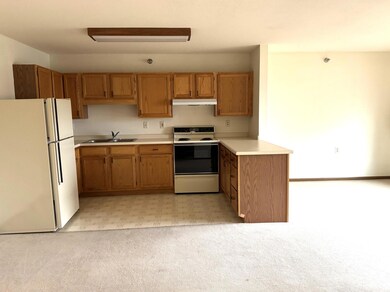 611 Main St S unit 207, Renville, MN 56284 - photo 2