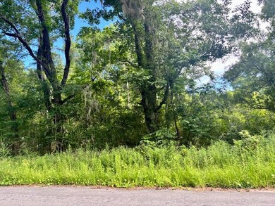 8946 Anderson Rd, Adams Run, SC 29426 - photo 4