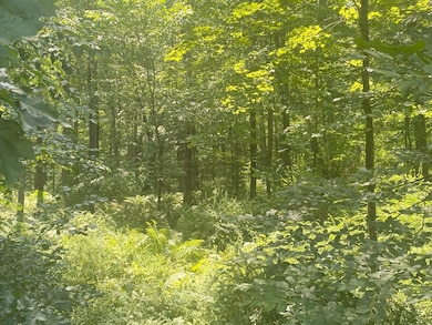 Lot 2R &3 Chapin Rd, Hampden, MA 01036 - photo 6