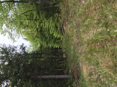 234 Wing Rd, Allenstown, NH 03275 - photo 4