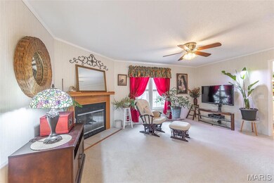 858 County Road 420, Poplar Bluff, MO 63901 - photo 5
