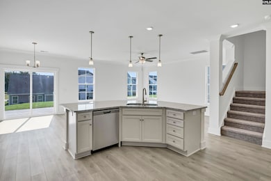 628 Thunder Gulch Ave, Lexington, SC 29073 - photo 5