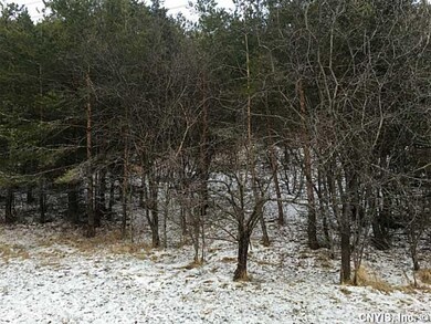 Land/Lot.