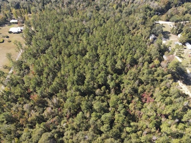 TBD S Main St, Blountstown, FL 32424 - photo 6