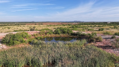 Kickapoo Rd, Bronte, TX 76933 - photo 7
