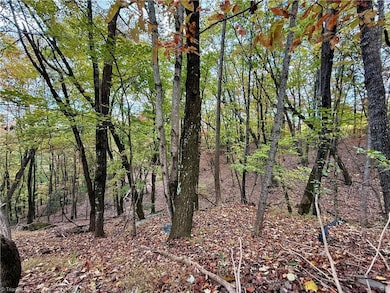 TBD Highland Rd N, North Wilkesboro, NC 28659 - photo 5