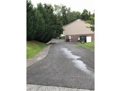 169 E Grande Ave, Johnson City, TN 37601 - photo 7