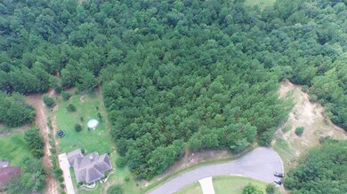 Aerial 2