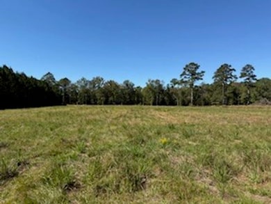 701 Barnes Rd, Pike Road, AL 36064 - photo 7