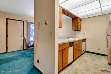 AVDP11 (9)