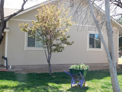 Side yard
