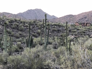 Expansive Mountain & Canyon Views