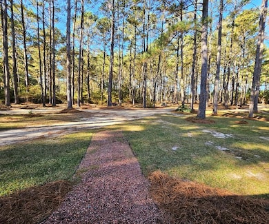 785 Glynn Willis Rd, Meigs, GA 31765 - photo 2