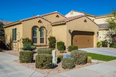 3644 S Jasmine Dr AZ-2