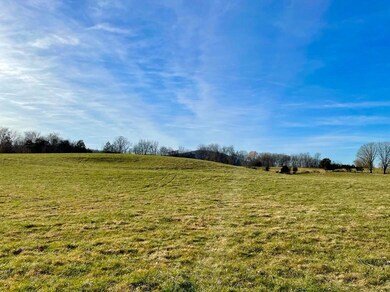 231 Highway 1003, Somerset, KY 42501 - photo 5