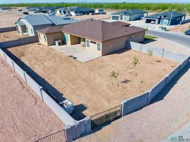 3813 S Sunnyview Ave, Carlsbad, NM 88220 - photo 7