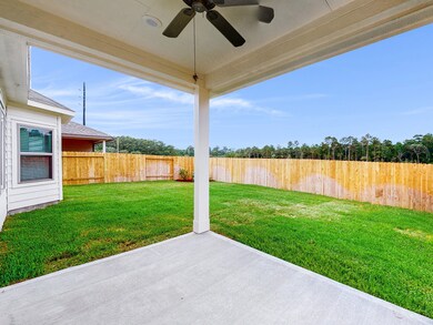 139 Comber Rd, Magnolia, TX 77354 - photo 5