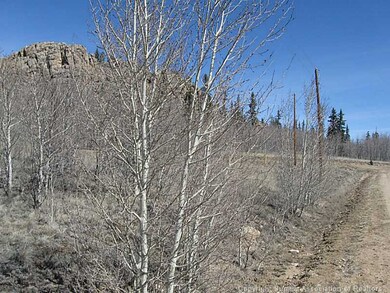 Land/Lot.
